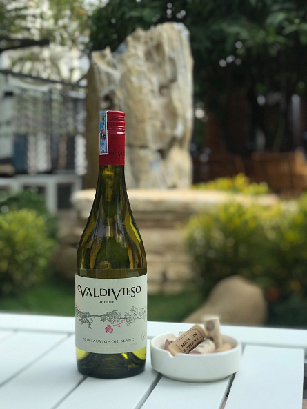 Приглашаем вас на дегустацию вин Valdivieso!