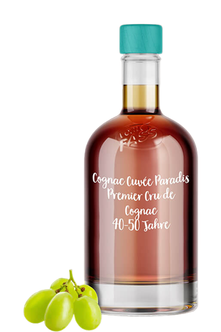 Cognac "Cuvee Paradis" 40% 0,5л
