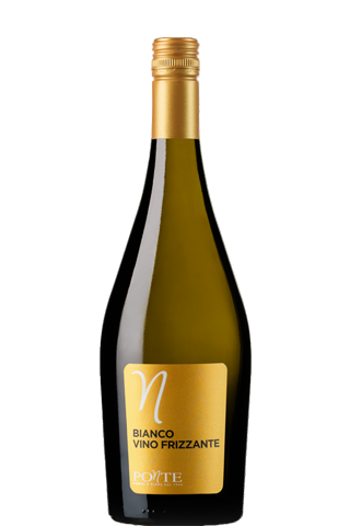 Ponte Bianco Vino Frizzante 2023 10,5% 0,75л 