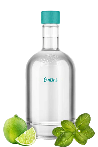 Gin-Tini 25% 0,25л