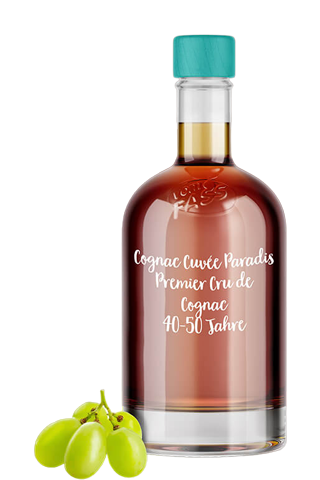 Cognac "Cuvee Paradis XO" 40% 0,5л