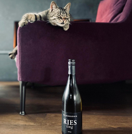 Уик-энд с винами Германии