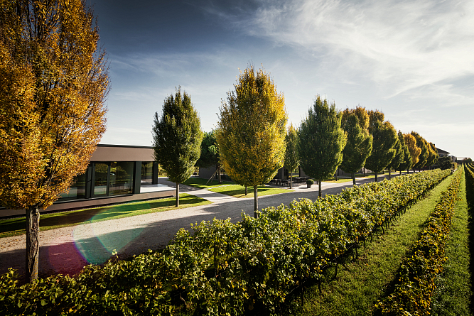 Уик-энд с винами Германии