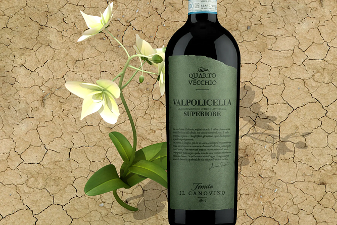 Spring. Wine. Repeat: повторяем наши лучшие акции!