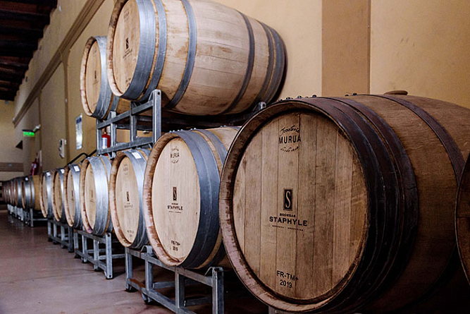 Аргентина в каждой бутылке: новое поступление вин Bodegas Staphyle