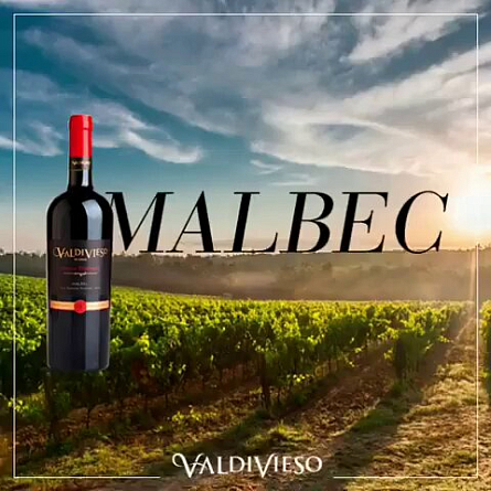 Вина из сортов Riesling и Malbec