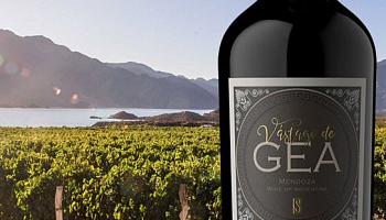 Аргентина в каждой бутылке: новое поступление вин Bodegas Staphyle