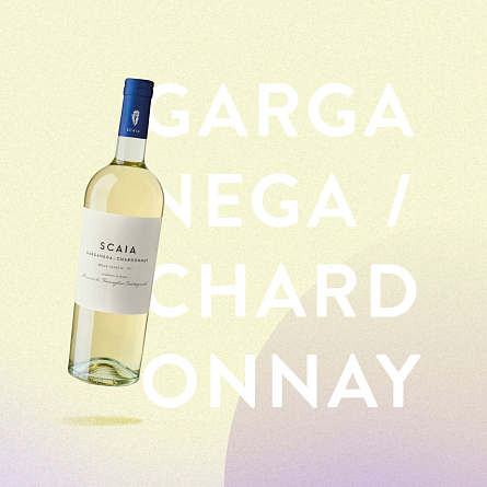 Многообразные итальянские вина