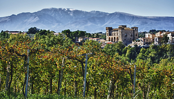 Вина Tenuta Ulisse теперь в Калининграде: успех Masseria del Sud в Европе приходит в Россию