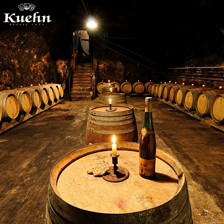 Вина из сортов Riesling и Malbec