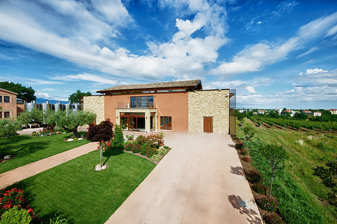 Вина Tenuta Ulisse теперь в Калининграде: успех Masseria del Sud в Европе приходит в Россию