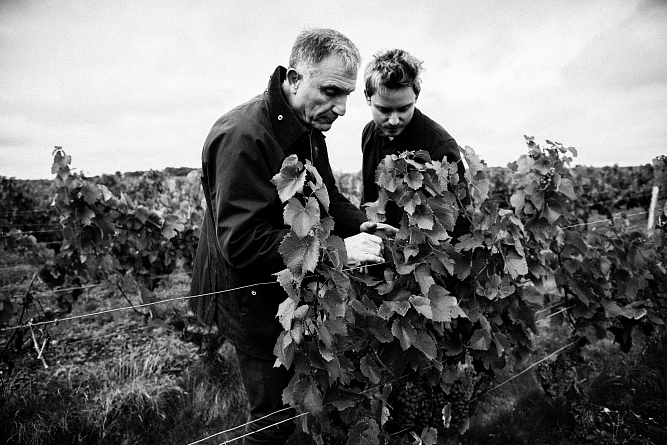 Уик-энд с винами Famille Bougrier