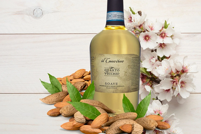 Spring. Wine. Repeat: повторяем наши лучшие акции!