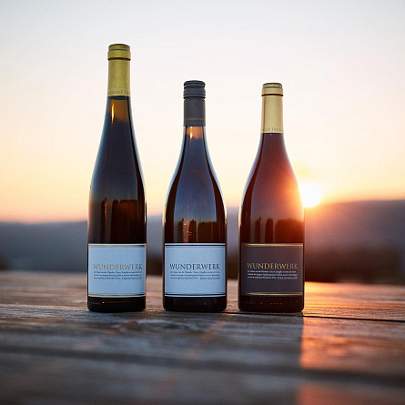 Йоахим Бинц: презентация немецких вин в Светлогорске