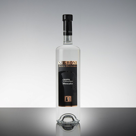 Дегустация граппы Negroni Antica Distilleria Grappa di Monovitigno Moscato