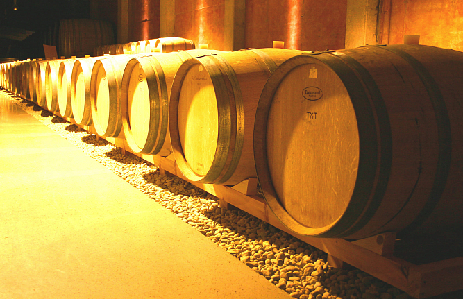 Вина Tenuta Ulisse теперь в Калининграде: успех Masseria del Sud в Европе приходит в Россию