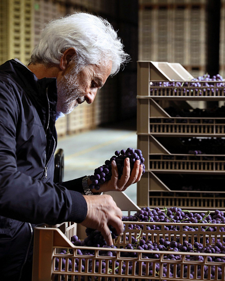 Italia, mi amorrr… Вина Antiche Terre