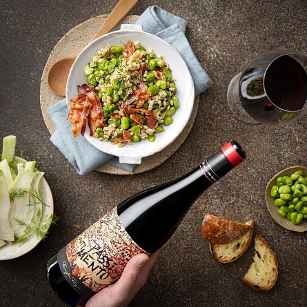 Уик-энд с винами Pasqua (Италия)